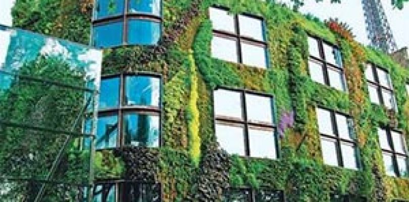 Вертикальное озеленение должно стать повсеместным в Москве – эксперт
