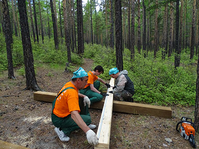 «ТБМ» поздравляет работников леса с праздником! - infork.ru